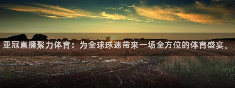 亚冠直播聚力体育：为全球球迷带来一场全方位的体育盛宴。
