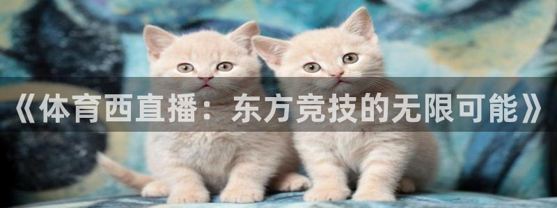 《体育西直播：东方竞技的无限可能》