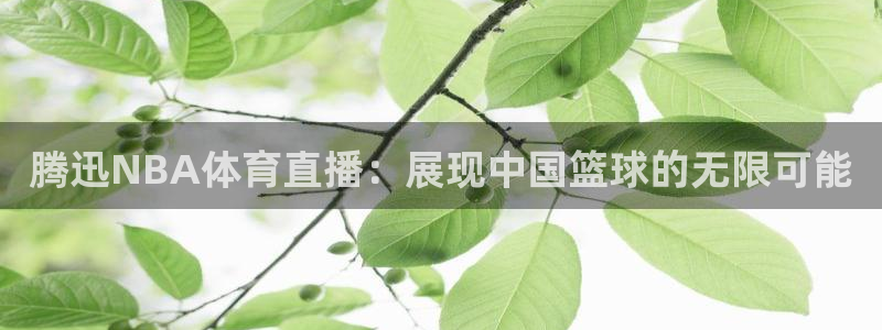 腾迅NBA体育直播：展现中国篮球的无限可能