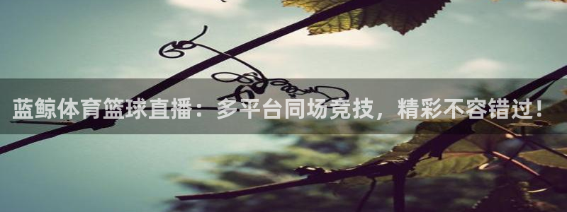 蓝鲸体育篮球直播：多平台同场竞技，精彩不容错过！