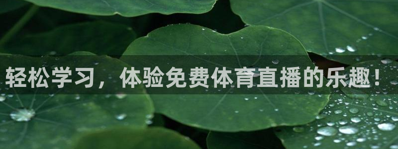 轻松学习，体验免费体育直播的乐趣！