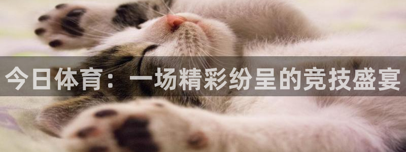 今日体育：一场精彩纷呈的竞技盛宴