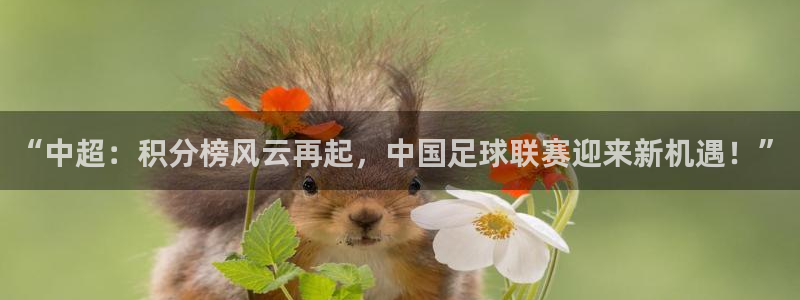 “中超：积分榜风云再起，中国足球联赛迎来新机遇！”
