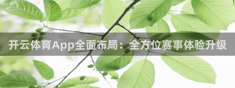 开云体育App全面布局：全方位赛事体验升级