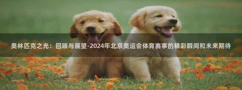 奥林匹克之光：回顾与展望-2024年北京奥运会体育赛事的精彩瞬间和未来期待
