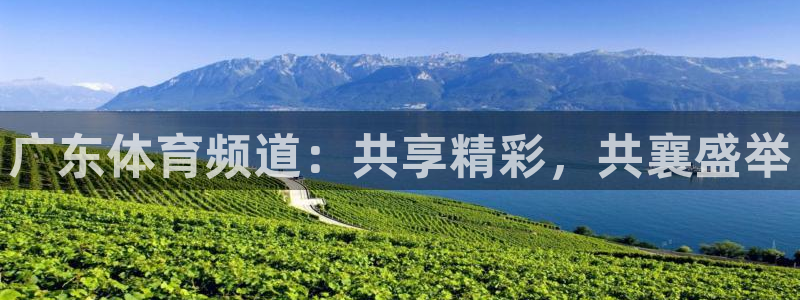 广东体育频道：共享精彩，共襄盛举