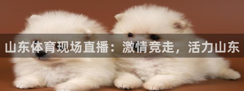 山东体育现场直播：激情竞走，活力山东