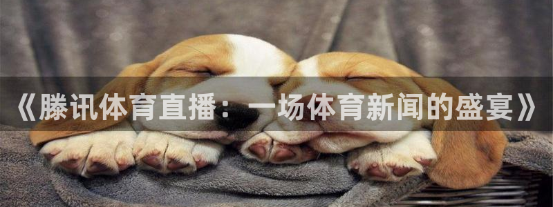 《滕讯体育直播：一场体育新闻的盛宴》