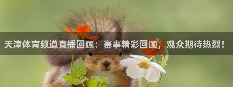 天津体育频道直播回顾：赛事精彩回顾，观众期待热烈！