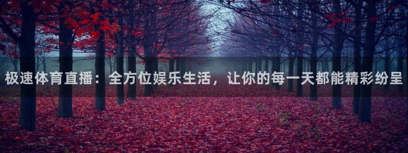 极速体育直播：全方位娱乐生活，让你的每一天都能精彩纷呈
