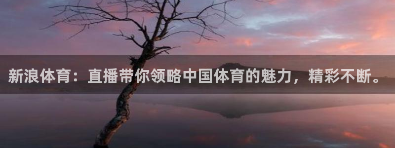 新浪体育：直播带你领略中国体育的魅力，精彩不断。
