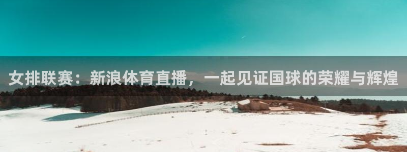 女排联赛：新浪体育直播，一起见证国球的荣耀与辉煌