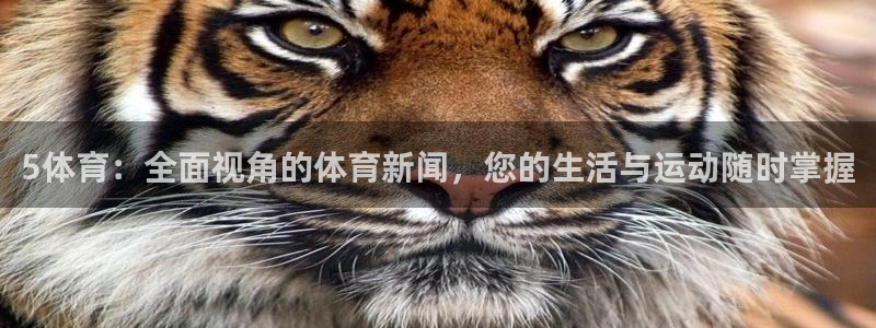 5体育：全面视角的体育新闻，您的生活与运动随时掌握