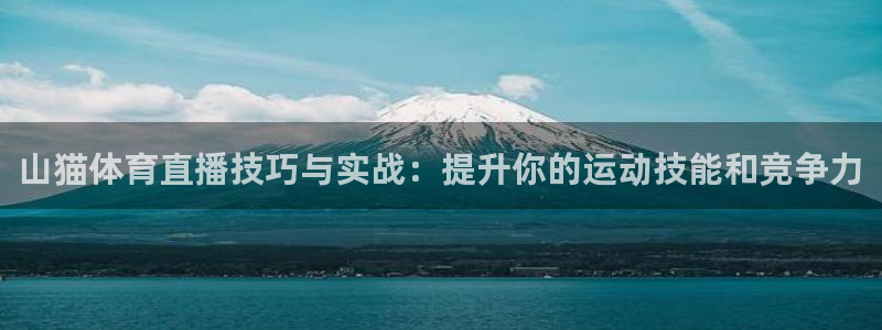 山猫体育直播技巧与实战：提升你的运动技能和竞争力