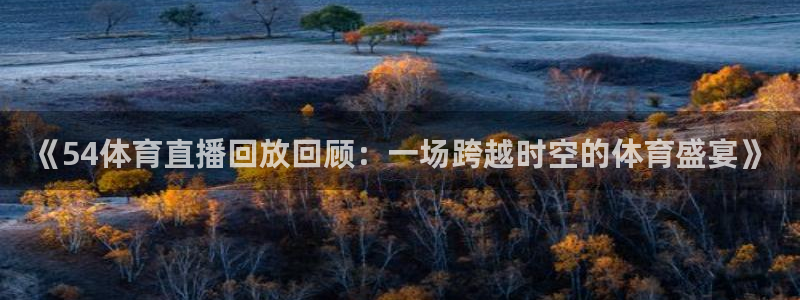 《54体育直播回放回顾：一场跨越时空的体育盛宴》