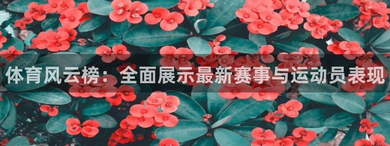 体育风云榜：全面展示最新赛事与运动员表现