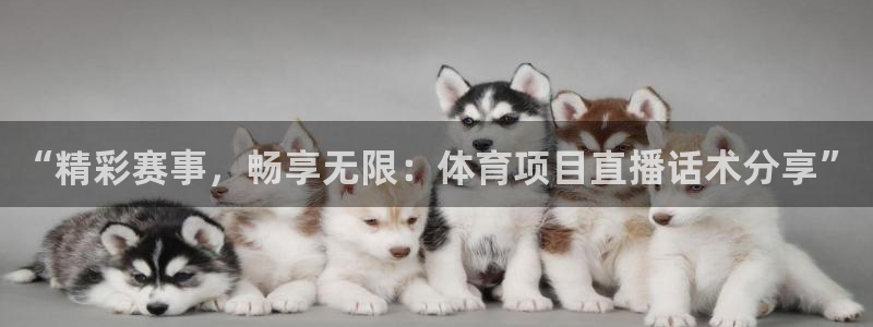 “精彩赛事，畅享无限：体育项目直播话术分享”