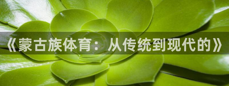 《蒙古族体育：从传统到现代的》