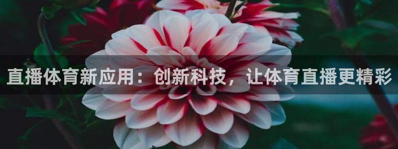直播体育新应用：创新科技，让体育直播更精彩