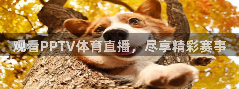 观看PPTV体育直播，尽享精彩赛事