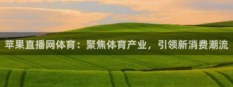 苹果直播网体育：聚焦体育产业，引领新消费潮流