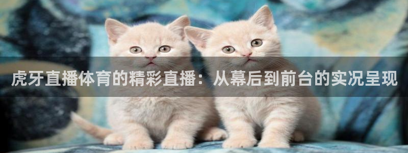 虎牙直播体育的精彩直播：从幕后到前台的实况呈现