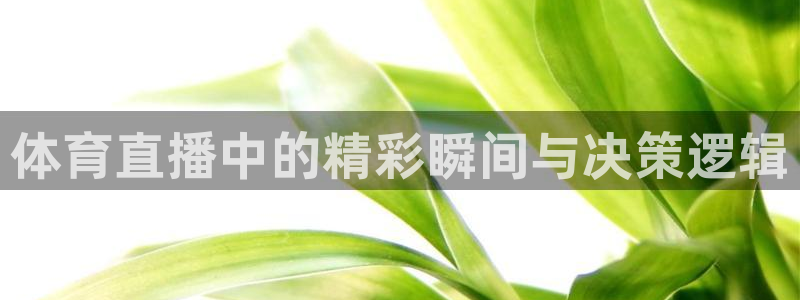 体育直播中的精彩瞬间与决策逻辑