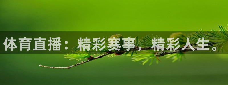 体育直播：精彩赛事，精彩人生。