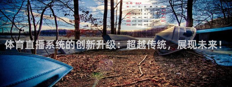 体育直播系统的创新升级：超越传统，展现未来！