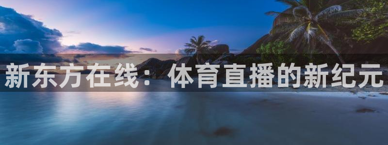新东方在线：体育直播的新纪元