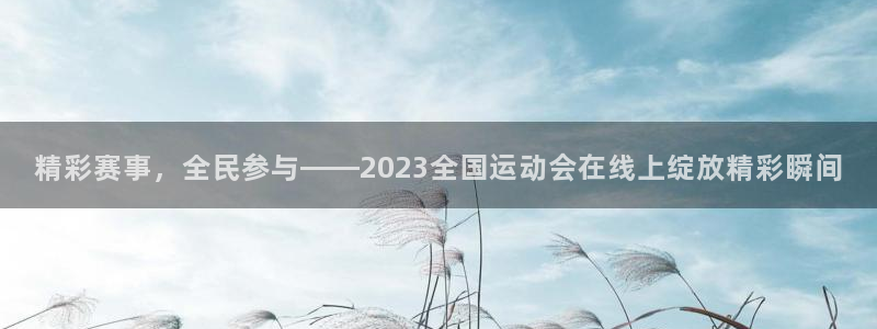 精彩赛事，全民参与——2023全国运动会在线上绽放精彩瞬间