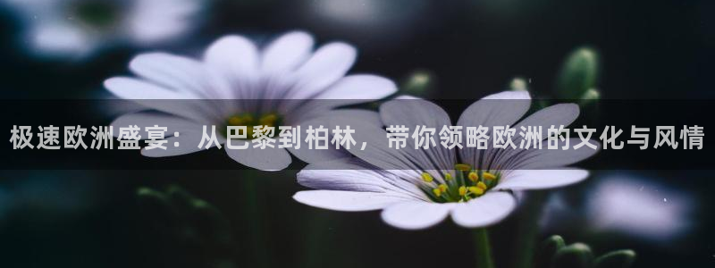 极速欧洲盛宴：从巴黎到柏林，带你领略欧洲的文化与风情
