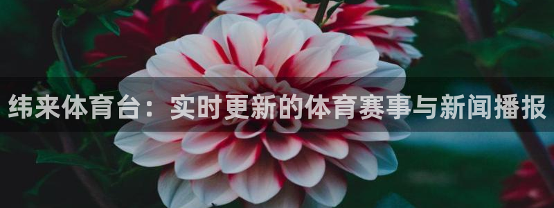 纬来体育台：实时更新的体育赛事与新闻播报