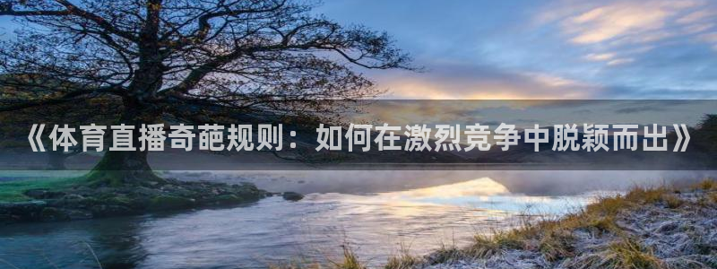 《体育直播奇葩规则：如何在激烈竞争中脱颖而出》