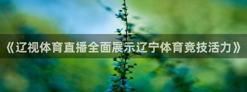 《辽视体育直播全面展示辽宁体育竞技活力》