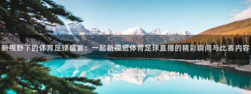 新视野下的体育足球盛宴：一起新视觉体育足球直播的精彩瞬间与比赛内容