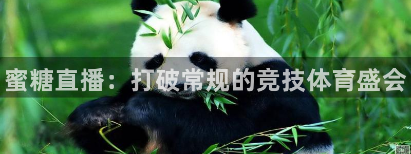 蜜糖直播：打破常规的竞技体育盛会