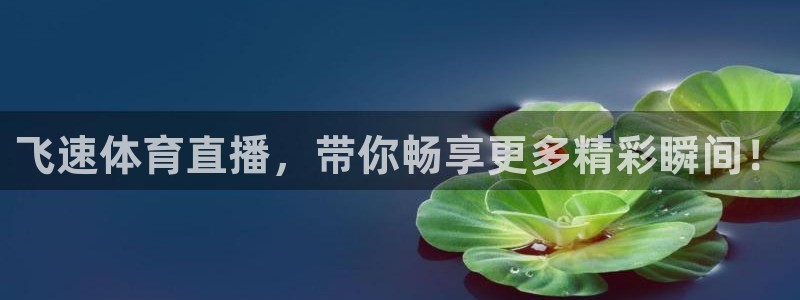 飞速体育直播，带你畅享更多精彩瞬间！