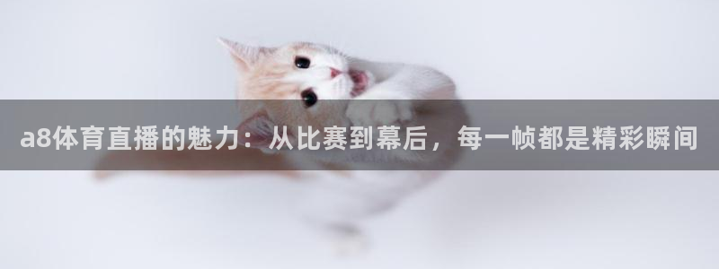 a8体育直播的魅力：从比赛到幕后，每一帧都是精彩瞬间