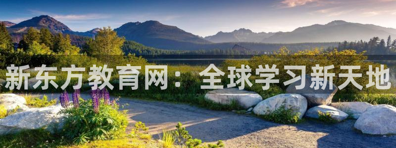 新东方教育网：全球学习新天地