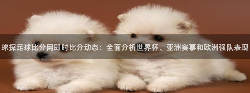 球探足球比分网即时比分动态：全面分析世界杯、亚洲赛事和欧洲强队表现