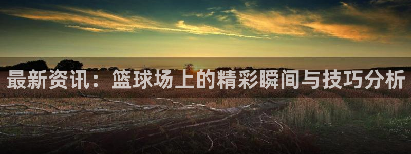 最新资讯：篮球场上的精彩瞬间与技巧分析