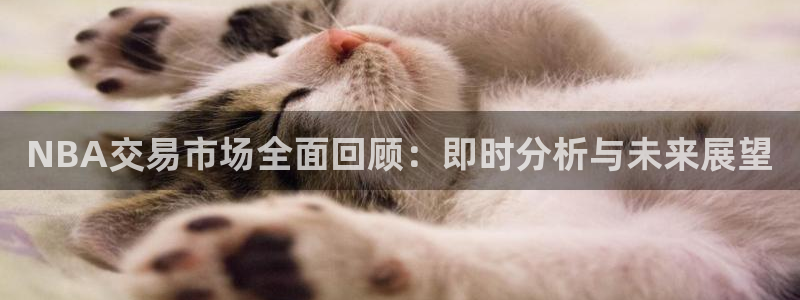 NBA交易市场全面回顾：即时分析与未来展望