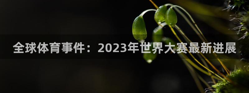 全球体育事件：2023年世界大赛最新进展