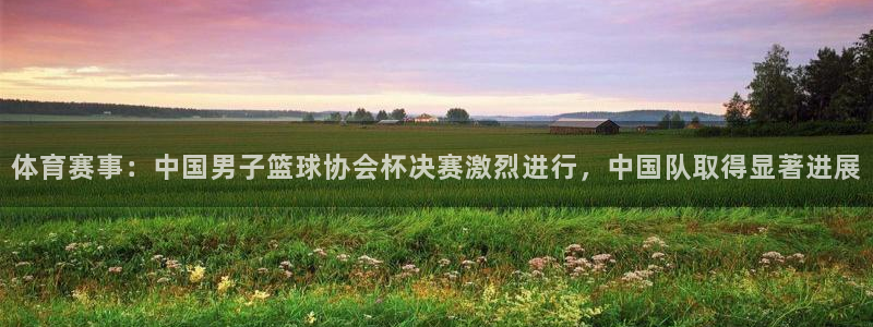 体育赛事：中国男子篮球协会杯决赛激烈进行，中国队取得显著进展