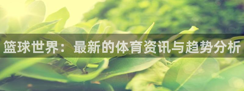 篮球世界：最新的体育资讯与趋势分析