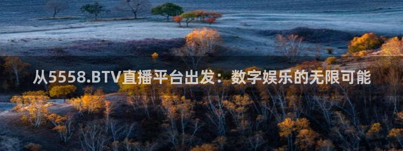 从5558.BTV直播平台出发：数字娱乐的无限可能