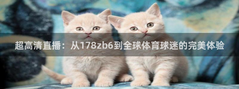 超高清直播：从178zb6到全球体育球迷的完美体验