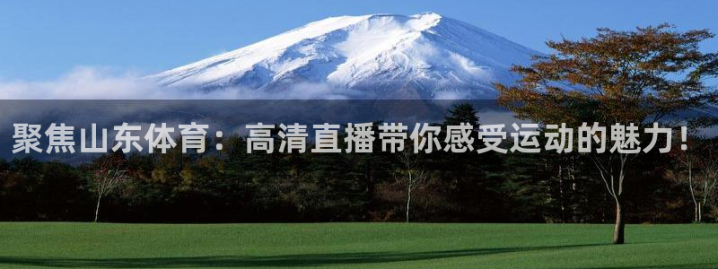 聚焦山东体育：高清直播带你感受运动的魅力！