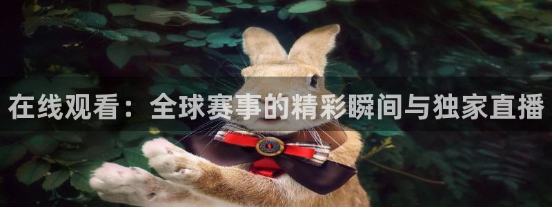 在线观看：全球赛事的精彩瞬间与独家直播